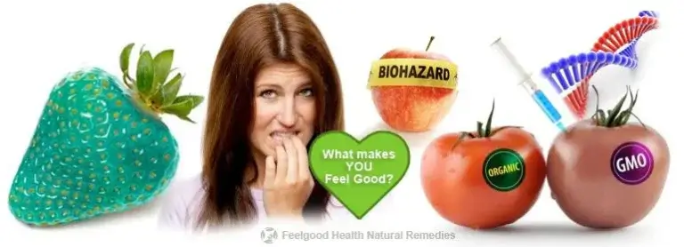 Iată cum să identifici dacă mâncarea este modificată genetic