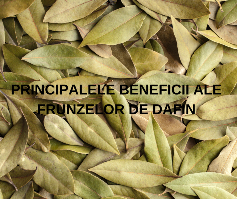 Frunze de dafin – Utilizari medicinale