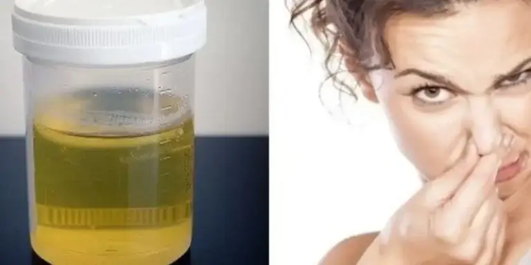 Urină cu miros de amoniac: Cauze și sfaturi pentru a scăpa de această problemă