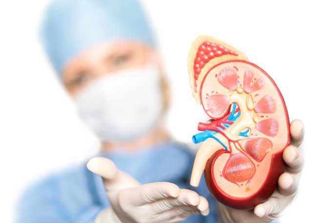 infectia rinichilor tratament