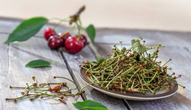 Nu arunca cozile de cirese! Poti vindeca peste 10 tipuri de boli cu ceaiul de cozi de cirese