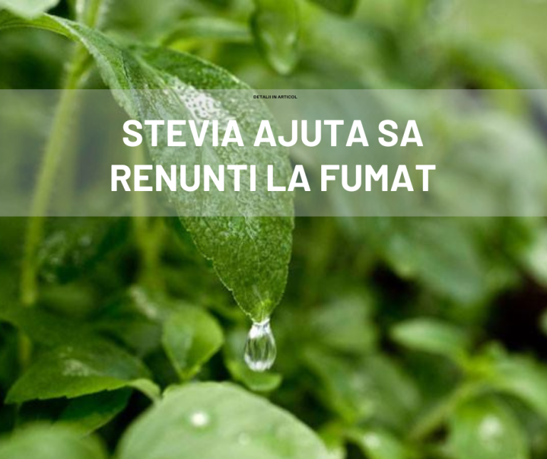 Aceasta planta va ajuta sa renuntati la fumat!